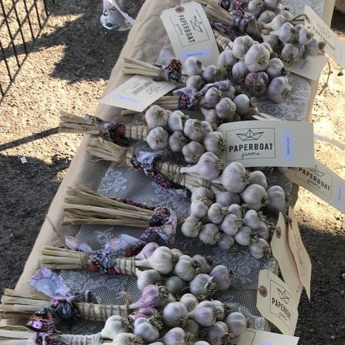 Garlic String Braids
