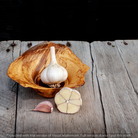 Garlic Porcelain Variety