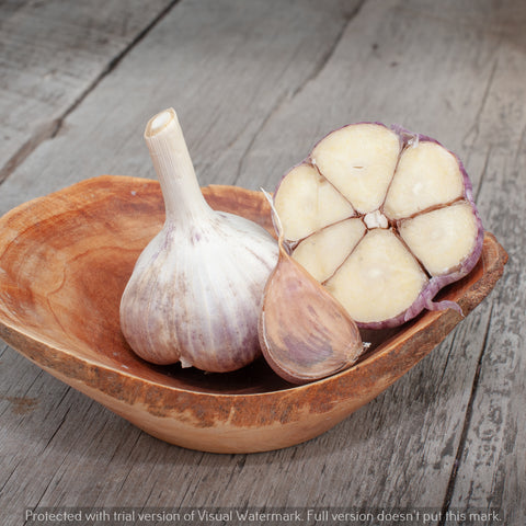 Garlic Rocambole Variety